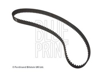 CINGHIA DISTRIBUZIONE