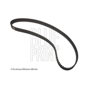 CINGHIA DISTRIBUZIONE