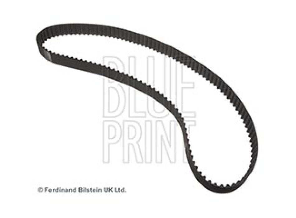 CINGHIA DISTRIBUZIONE