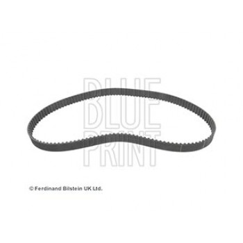 CINGHIA DISTRIBUZIONE