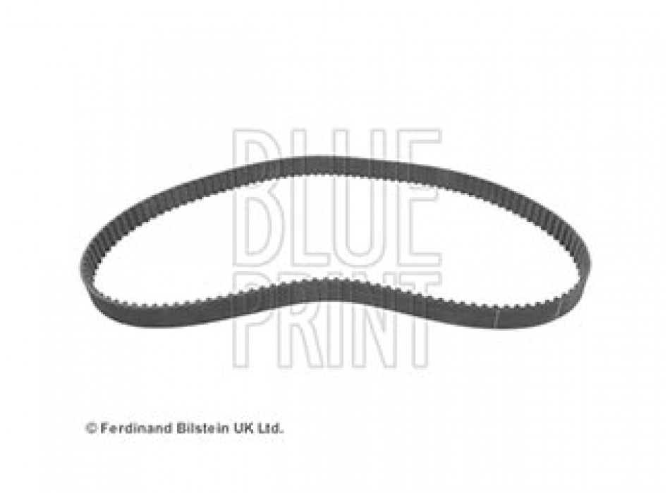 CINGHIA DISTRIBUZIONE