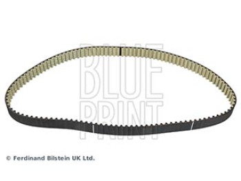 CINGHIA DISTRIBUZIONE