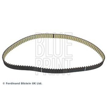 CINGHIA DISTRIBUZIONE