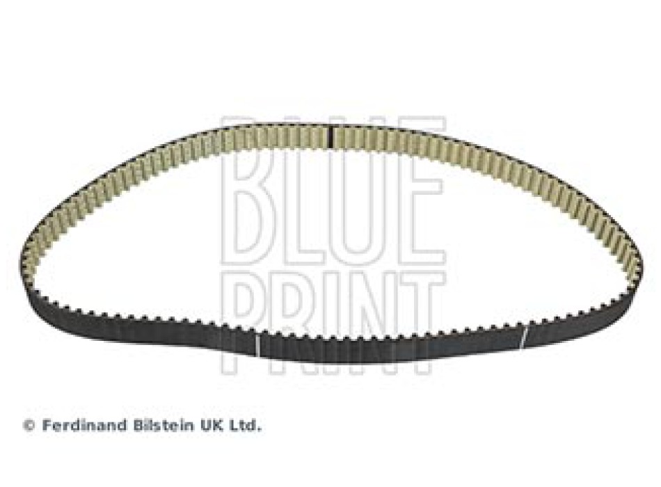CINGHIA DISTRIBUZIONE