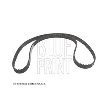 CINGHIA DISTRIBUZIONE