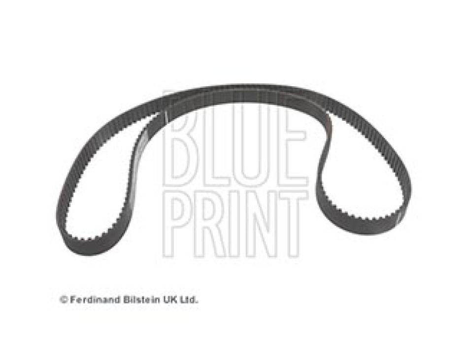 CINGHIA DISTRIBUZIONE