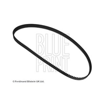 CINGHIA DISTRIBUZIONE