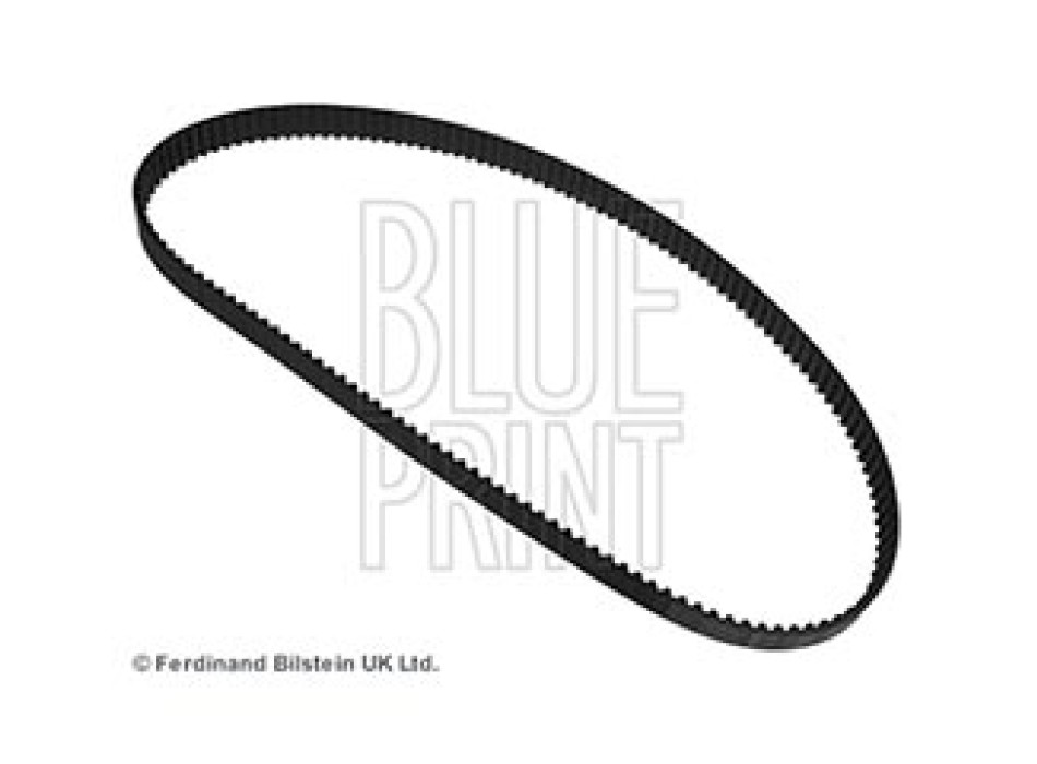 CINGHIA DISTRIBUZIONE