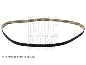 CINGHIA DISTRIBUZIONE