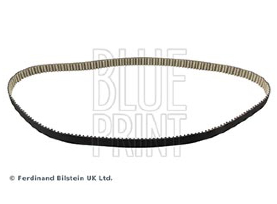 CINGHIA DISTRIBUZIONE