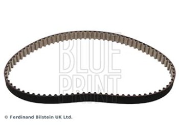 CINGHIA DISTRIBUZIONE