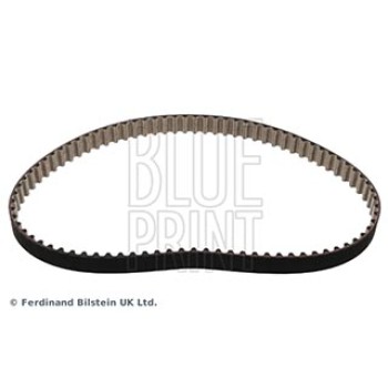 CINGHIA DISTRIBUZIONE