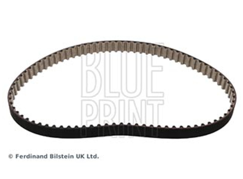 CINGHIA DISTRIBUZIONE