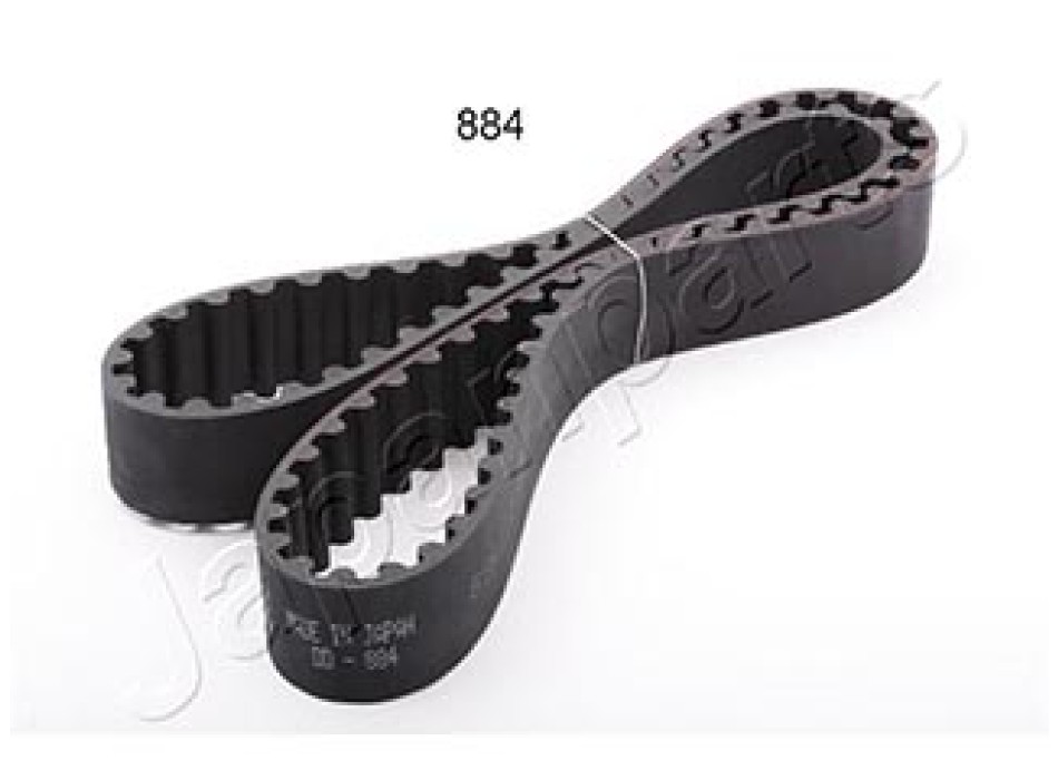 CINGHIA DISTRIBUZIONE