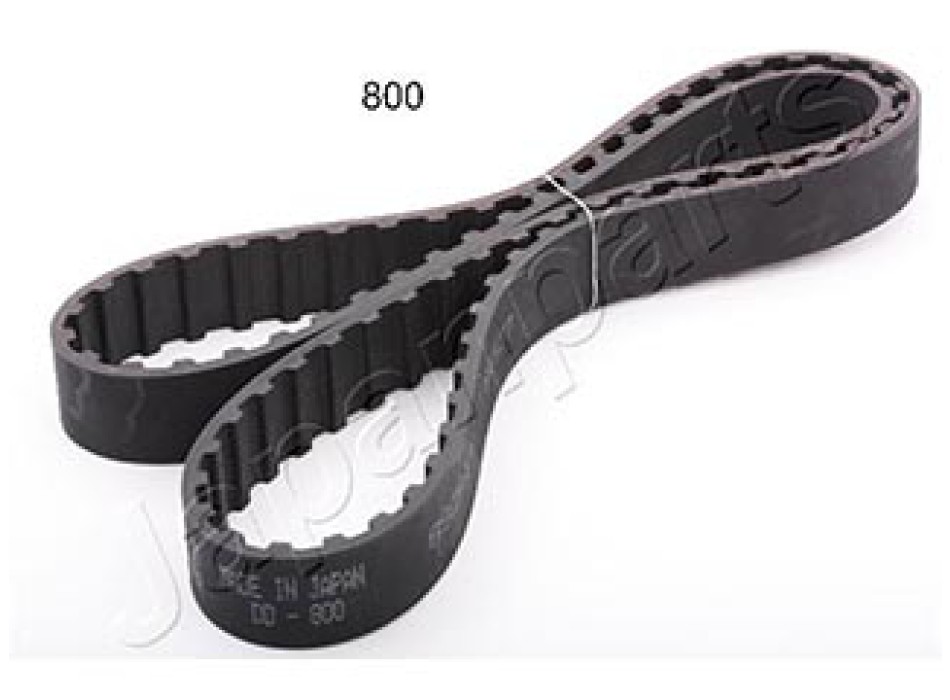 CINGHIA DISTRIBUZIONE