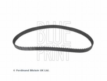 CINGHIA DISTRIBUZIONE