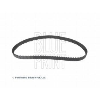 CINGHIA DISTRIBUZIONE