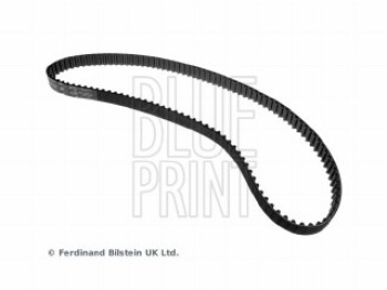 CINGHIA DISTRIBUZIONE