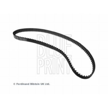 CINGHIA DISTRIBUZIONE