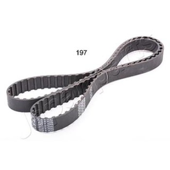 CINGHIA DISTRIBUZIONE