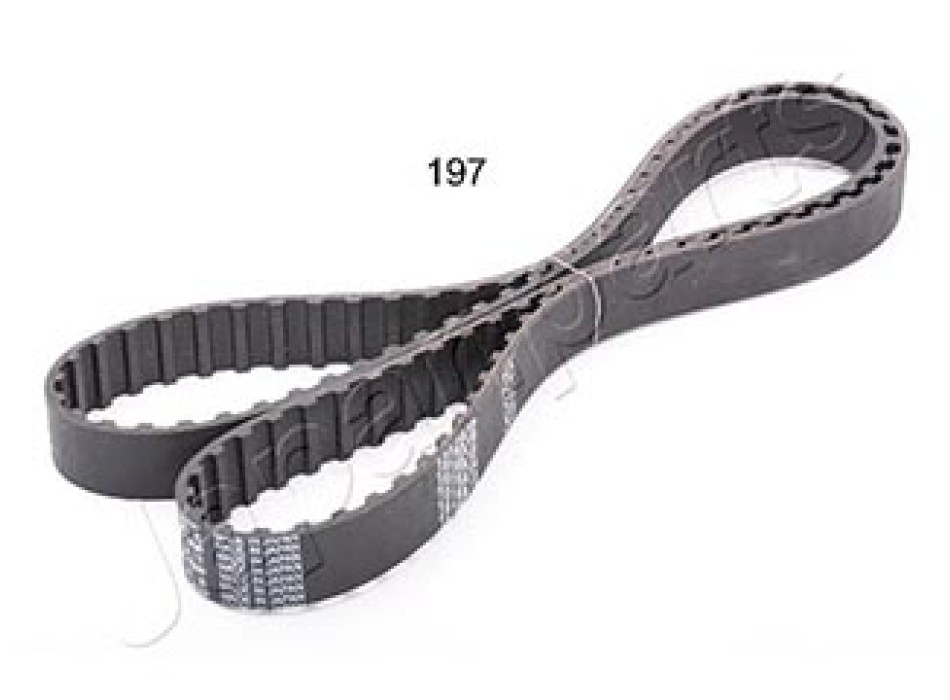 CINGHIA DISTRIBUZIONE