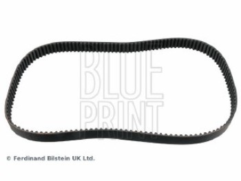 CINGHIA DISTRIBUZIONE