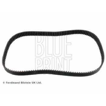 CINGHIA DISTRIBUZIONE