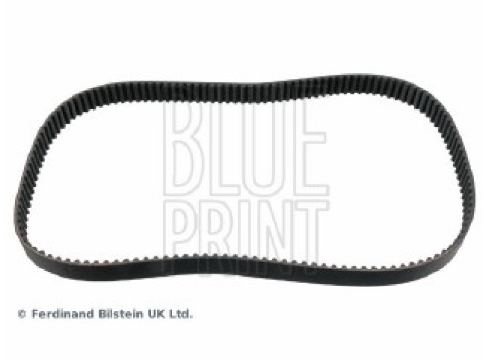 CINGHIA DISTRIBUZIONE