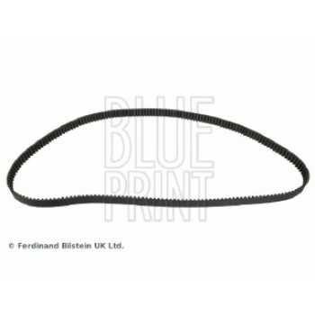 CINGHIA DISTRIBUZIONE