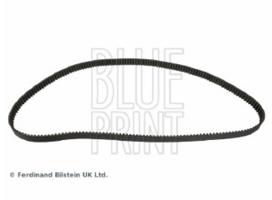 CINGHIA DISTRIBUZIONE