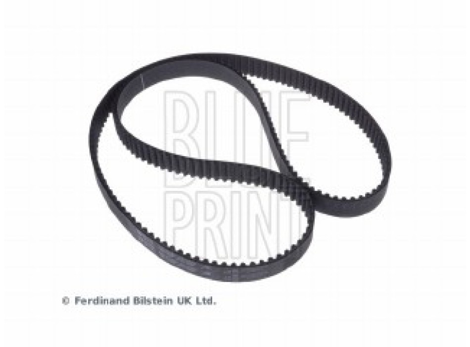 CINGHIA DISTRIBUZIONE