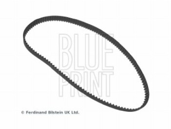 CINGHIA DISTRIBUZIONE