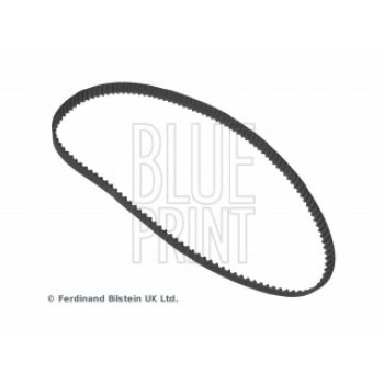 CINGHIA DISTRIBUZIONE