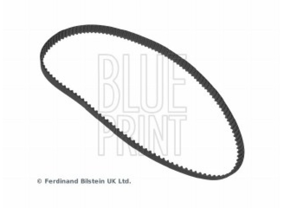 CINGHIA DISTRIBUZIONE