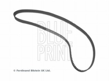 CINGHIA DISTRIBUZIONE