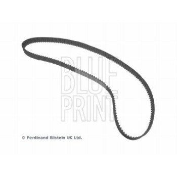 CINGHIA DISTRIBUZIONE