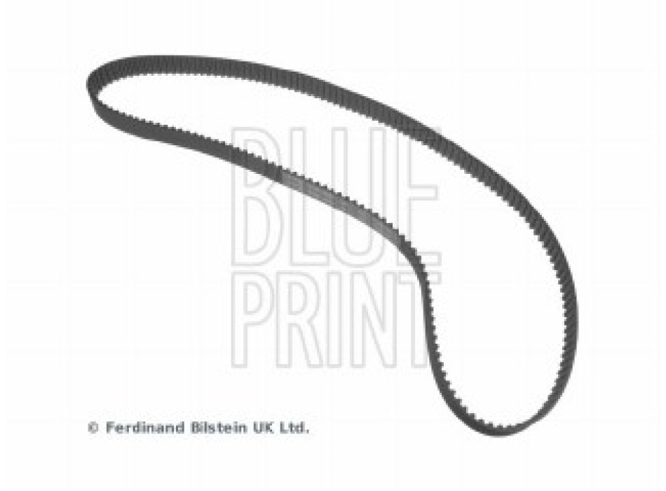 CINGHIA DISTRIBUZIONE