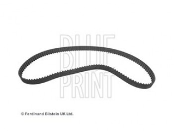 CINGHIA DISTRIBUZIONE