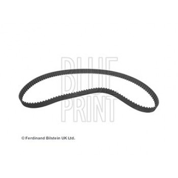 CINGHIA DISTRIBUZIONE