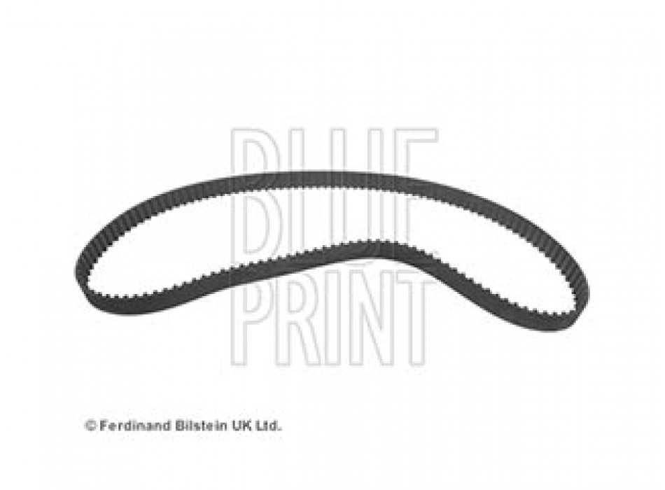 CINGHIA DISTRIBUZIONE