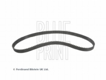 CINGHIA DISTRIBUZIONE