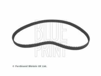 CINGHIA DISTRIBUZIONE