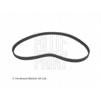 CINGHIA DISTRIBUZIONE