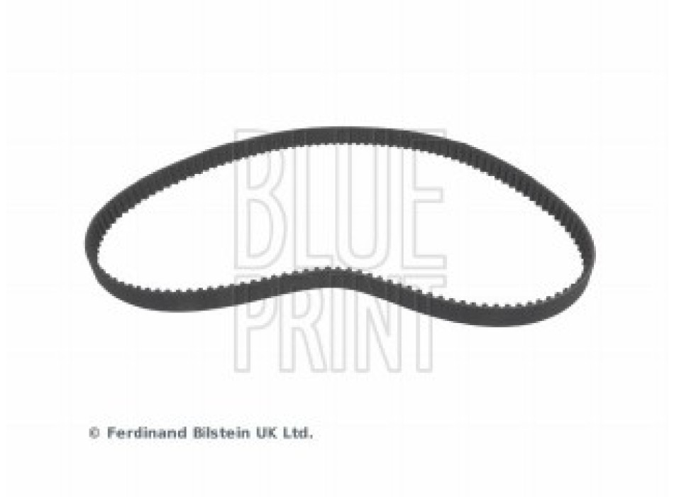 CINGHIA DISTRIBUZIONE