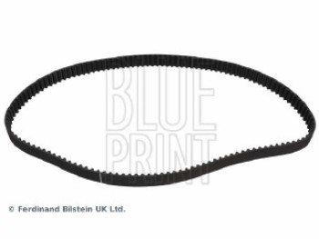 CINGHIA DISTRIBUZIONE