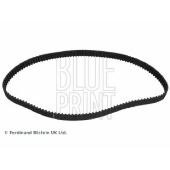 CINGHIA DISTRIBUZIONE