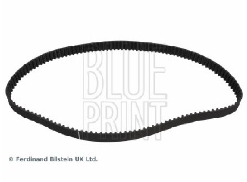 CINGHIA DISTRIBUZIONE