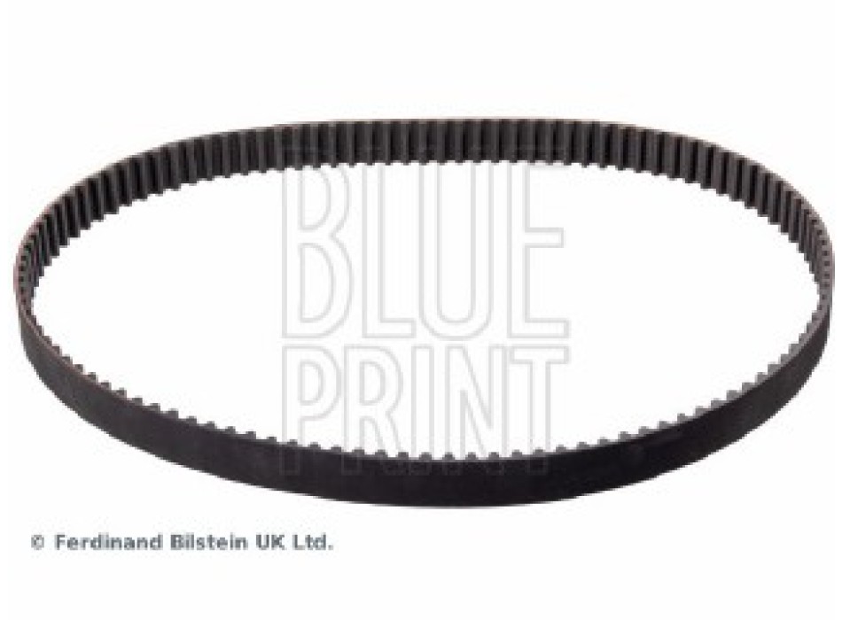 CINGHIA DISTRIBUZIONE