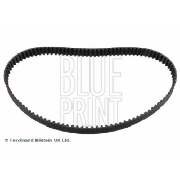 CINGHIA DISTRIBUZIONE