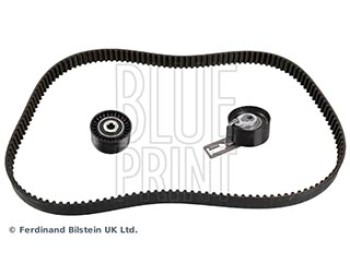 CINGHIA DISTRIBUZIONE